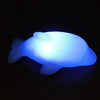 LED Dolphin Light Lamp